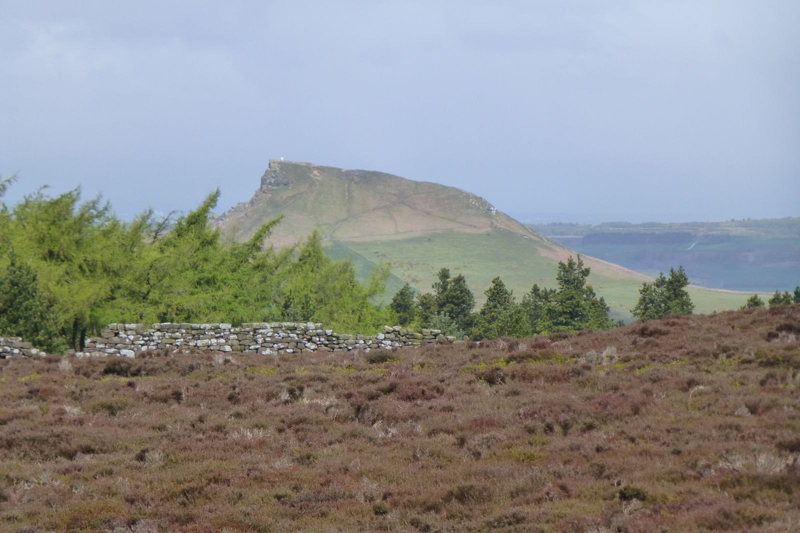 Roseberry Topping near Abbey Guest House in Redcar